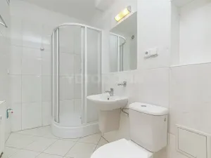 Pronájem bytu 1+1, Blovice, Americká, 37 m2