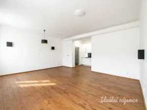 Pronájem bytu 1+kk, Praha - Nusle, Bohuslava ze Švamberka, 47 m2
