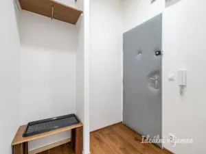 Pronájem bytu 1+kk, Praha - Nusle, Bohuslava ze Švamberka, 47 m2
