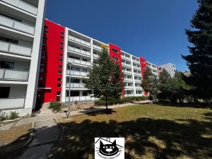 Pronájem bytu 2+1, Praha, Krupská, 70 m2