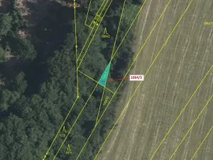 Dražba lesa, Volfířov, 48 m2