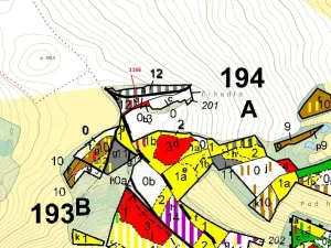 Dražba lesa, Volfířov, 536 m2