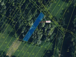 Dražba lesa, Přerov, 1145 m2