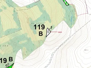 Dražba lesa, Přerov, 1576 m2