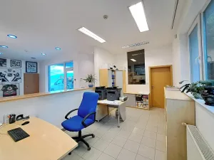 Pronájem obchodního prostoru, Tečovice, 890 m2