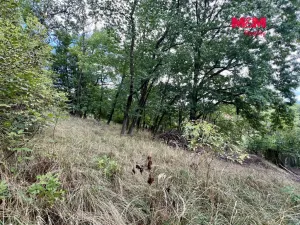 Prodej pozemku pro bydlení, Pyšely - Zaječice, 2037 m2