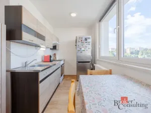Pronájem bytu 2+kk, Jihlava, Březinova, 53 m2