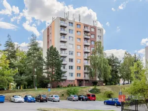 Pronájem bytu 2+kk, Jihlava, Březinova, 53 m2