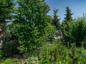 Prodej rodinného domu, Horní Jelení, Kolářského, 153 m2