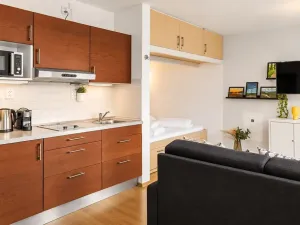 Prodej bytu 1+kk, Loučná pod Klínovcem, 33 m2