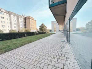 Pronájem kanceláře, Praha - Žižkov, Ke kapslovně, 33 m2
