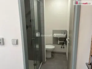 Pronájem bytu 2+kk, Jílové - Kamenná, Školní, 36 m2