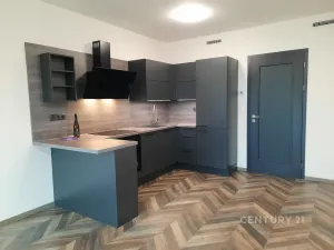 Pronájem bytu 1+kk, Praha - Vysočany, Střídavá, 35 m2