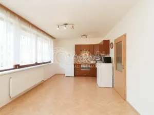 Pronájem bytu 1+kk, Praha - Holešovice, U měšťanského pivovaru, 42 m2
