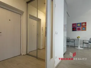 Pronájem bytu 2+kk, Hradec Králové - Nový Hradec Králové, Antonína Petrofa, 45 m2