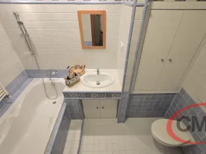 Pronájem bytu 3+kk, Praha, Jeremenkova, 63 m2