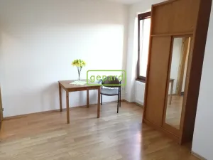 Pronájem bytu 1+kk, Brno - Staré Brno, Křížkovského, 26 m2