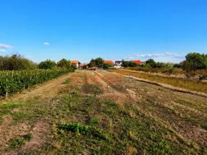 Prodej pozemku pro bydlení, Lanžhot, Školní, 491 m2