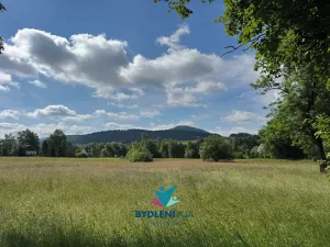 Prodej pozemku pro bydlení, Horní Podluží, 2914 m2