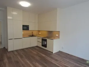 Pronájem bytu 3+kk, Praha - Žižkov, Jeseniova, 65 m2