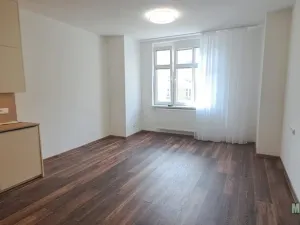 Pronájem bytu 3+kk, Praha - Žižkov, Jeseniova, 65 m2
