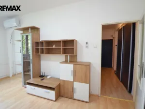 Pronájem bytu 1+1, Olomouc - Nová Ulice, Foerstrova, 39 m2