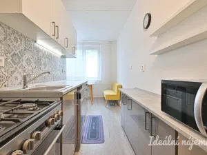 Pronájem bytu 2+1, Brno, Vondrákova, 50 m2