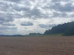 Prodej pole, Počepice, 49428 m2