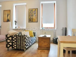 Pronájem bytu 1+kk, České Budějovice - České Budějovice 3, Klaricova, 36 m2
