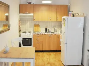 Pronájem bytu 1+kk, České Budějovice - České Budějovice 3, Klaricova, 36 m2