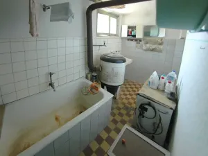 Prodej rodinného domu, Mladý Smolivec - Radošice, 200 m2