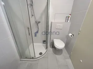 Pronájem bytu 1+kk, Praha - Vinohrady, Šrobárova, 25 m2