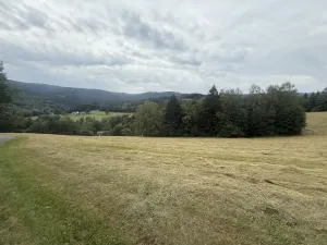 Prodej louky, Hamry, 84928 m2