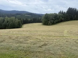 Prodej louky, Hamry, 84928 m2