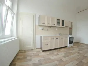 Pronájem bytu 2+1, Plzeň - Východní Předměstí, Americká, 97 m2