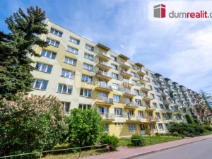 Pronájem bytu 1+1, České Budějovice - České Budějovice 3, Puklicova, 35 m2