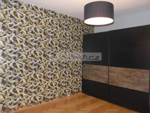 Pronájem bytu 2+kk, Plzeň - Jižní Předměstí, Chelčického, 58 m2