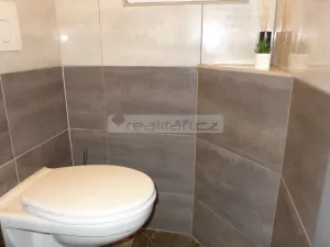 Pronájem bytu 2+kk, Plzeň - Jižní Předměstí, Chelčického, 58 m2