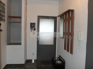 Pronájem bytu 2+kk, Plzeň - Jižní Předměstí, Chelčického, 58 m2