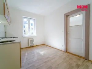 Pronájem bytu 1+1, Plzeň - Východní Předměstí, Sladkovského, 37 m2