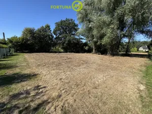 Prodej pozemku pro bydlení, Orlová, 5699 m2