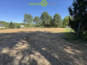 Prodej pozemku pro bydlení, Orlová, 5699 m2