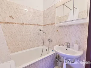 Pronájem bytu 1+1, Brno, Ibsenova, 35 m2