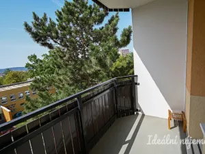 Pronájem bytu 1+1, Brno, Ibsenova, 35 m2
