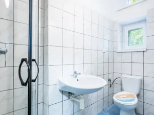 Pronájem bytu 1+1, Hladké Životice, Oderská, 41 m2