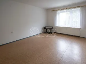 Pronájem bytu 1+1, Mělník, Čechova, 35 m2