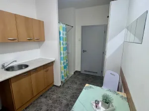 Pronájem obchodního prostoru, Litvínov, Ruská, 45 m2