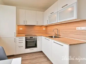 Pronájem bytu 1+1, Brno, Hodonínská, 32 m2