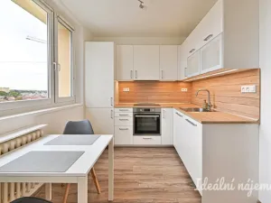Pronájem bytu 1+1, Brno, Hodonínská, 32 m2
