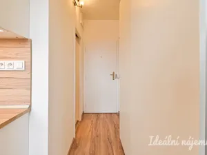 Pronájem bytu 1+1, Brno, Hodonínská, 32 m2